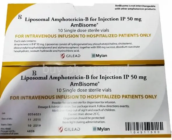 Amfotericina B - Istruzioni Per L'uso, Prezzo, Analoghi, Unguento, Recensioni