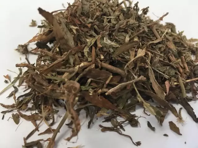 Oregano Herb - Useful Properties, Application, Contraindications