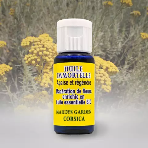 Immortelle - Useful Properties, Application, Home Recipes