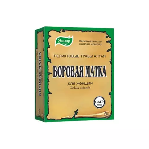 Grass Borovaya Uterus - Instructions For Use, Treatment