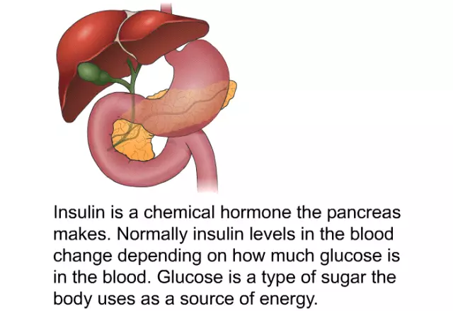 Insulin - Instructions For Use, Action, Dose