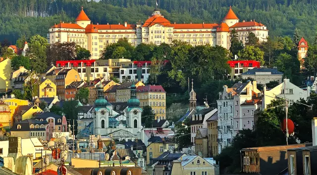 Karlovy Vary Salt - Instructions For Use, Indications, Doses