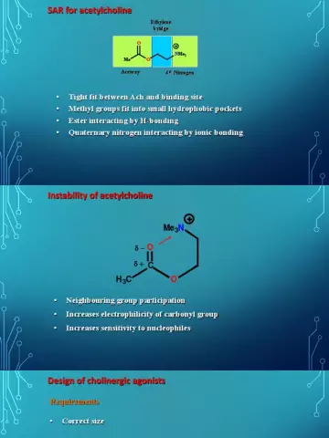 Kontrikal - Instructions, Application, Analogues