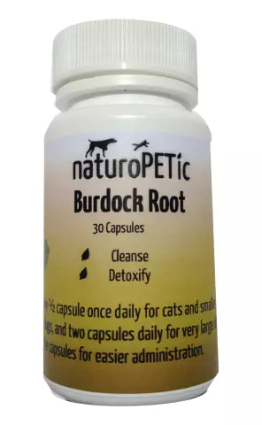 Burdock Root - Instructions For Use, Indications, Doses