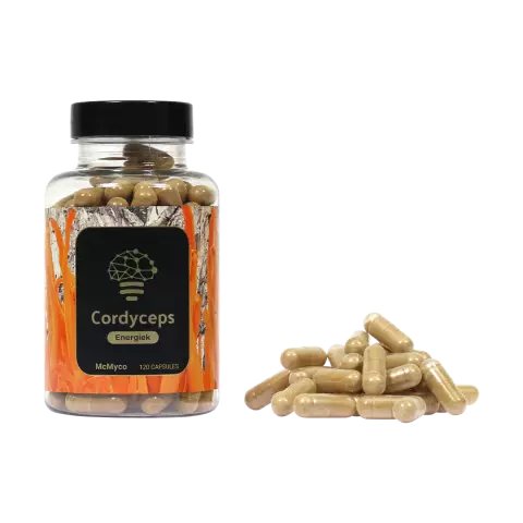 Cordyceps - Reviews, Instructions, Application