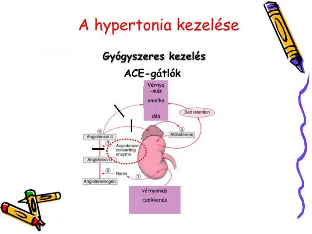 Nifecard HL - Návod Na Použitie, Cena, Recenzie, Analógy Tabliet