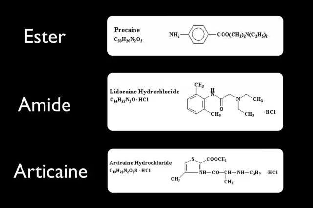 Novocaine Bufus - Gebrauchsanweisung, Preis, Bewertungen, Analoga