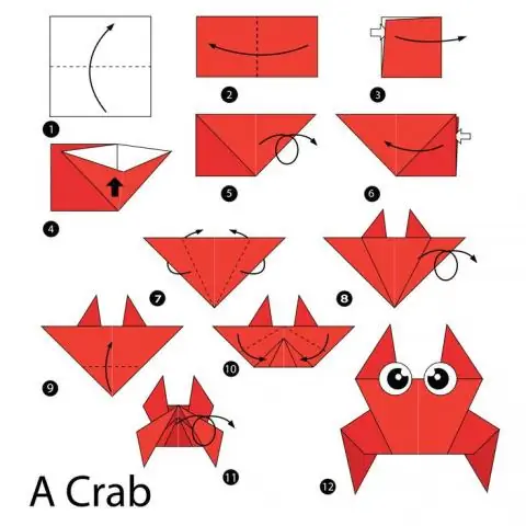 Octylia - Instructies Voor Het Gebruik Van Oogdruppels, Prijs, Beoordelingen, Analogen