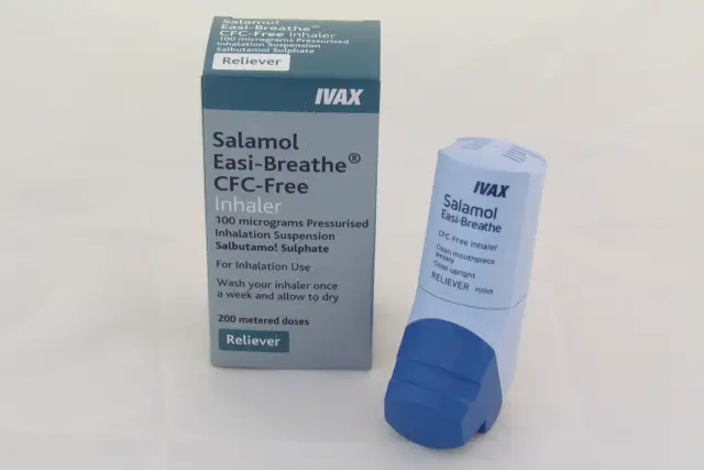 Salbutamol-Teva - Instruções Para O Uso De Aerossol, Preço, Comentários