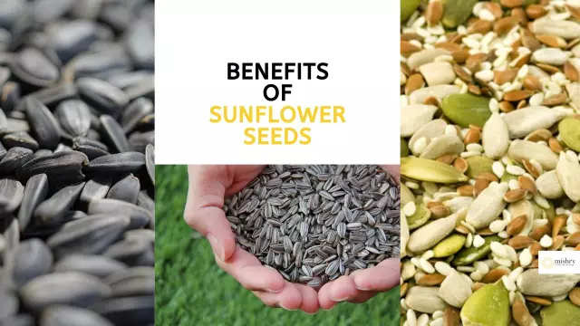 Sunflower - Benefits, Properties, Use Of Seeds, Indications