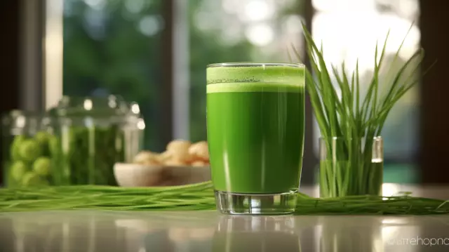 Wheatgrass - Useful Properties, Application, Treatment Rules