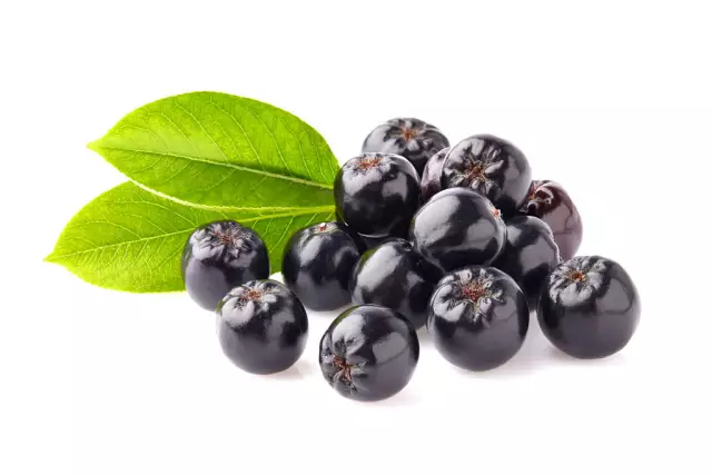 Chokeberry - Properties, Application, Contraindications