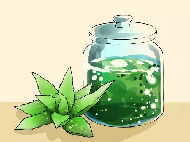 Aloe Extract - Indications, Method Of Application