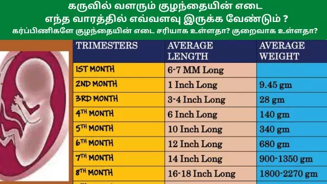 10 Week Of Pregnancy - Fetal Changes, Abdomen, Pains, Examinations